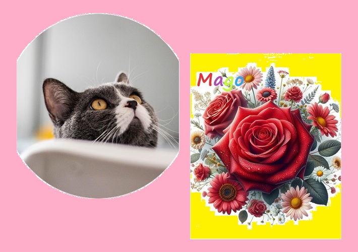 KnightGala1's tweet photo. @MagoOlmos 
Buenos días amiga siempre gracias 🌅😊
Feliz de haberte conocido fabulous lunes 🐱☕️🌹♘ https://t.co/KaG5Wm8lD8