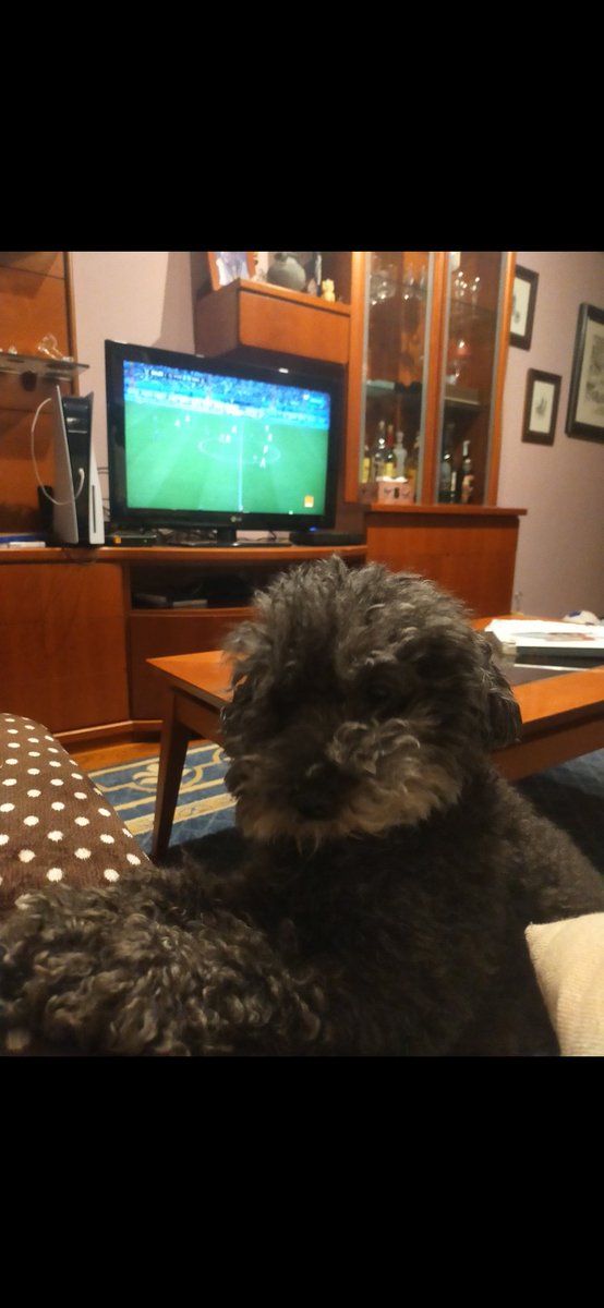pelavoto's tweet photo. Un amor puro y desinteresado; una vida juntos y un vacío que jamás se llenará. 
Muchas gracias por todo lo que me has dado Lucky. 
Te voy a echar de menos eternamente❣️ https://t.co/mOPWlNVqmY