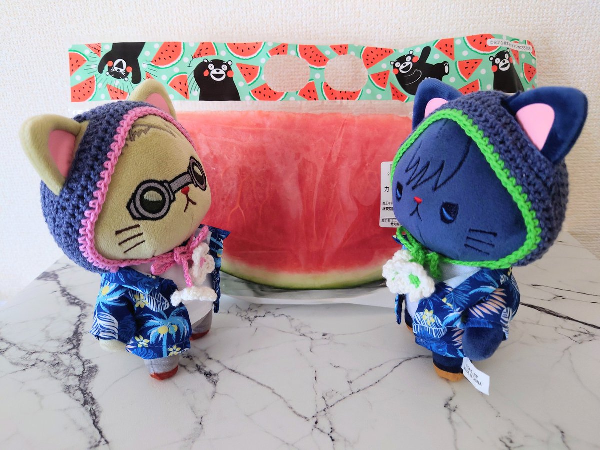 めぐにゃん、これがスイカです😼🍉😼」 スイカ🐈‍⬛🍉 「あまいで