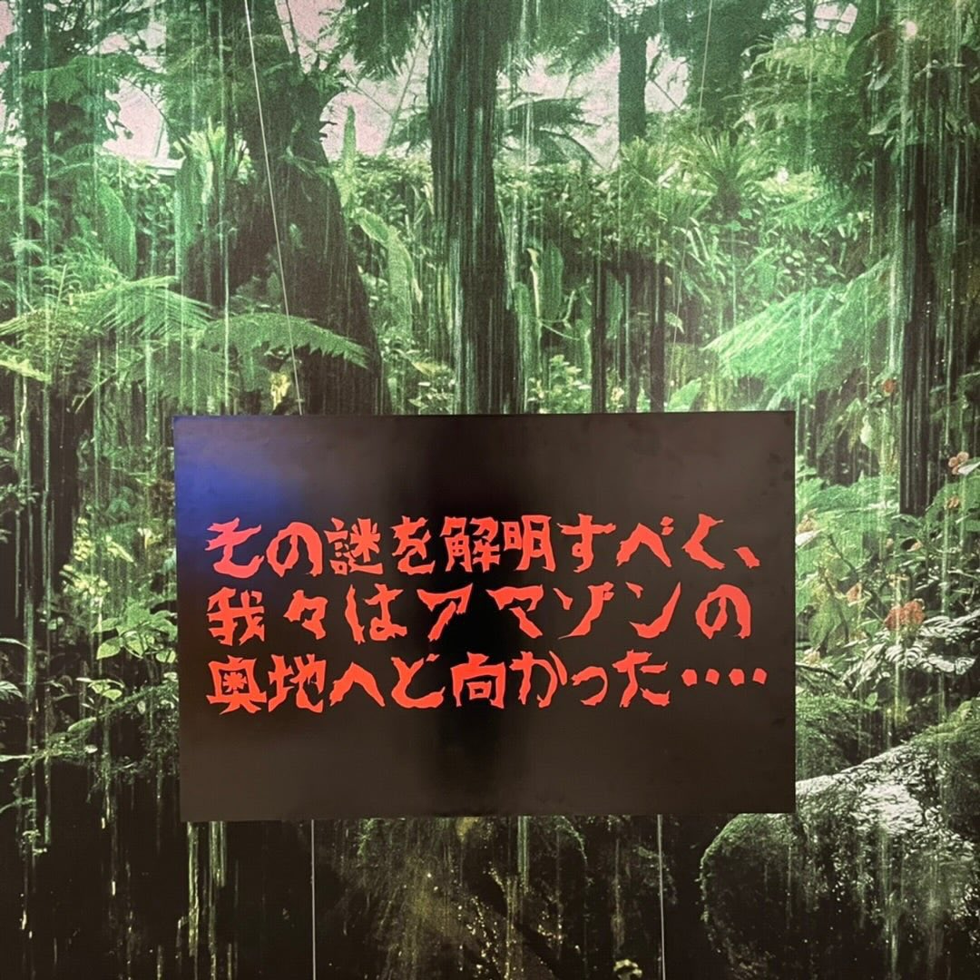 Azur_tribal's tweet photo. ピロリ菌検査で陰性でも胃潰瘍に何回もなるってありえる？？ https://t.co/21MlXpDNPg