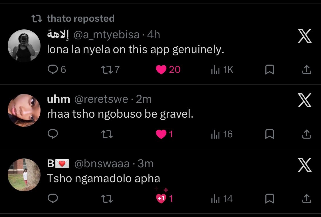 Monacoᥫ᭡ tweet media
