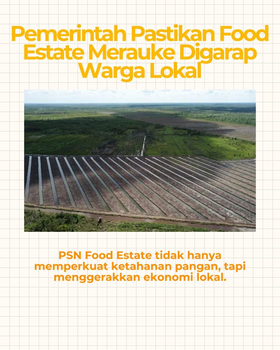 Minsi tweet media