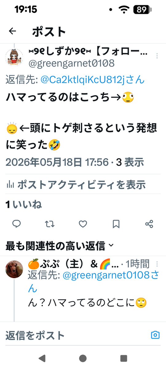 ⑅୨୧しずか୨୧⑅【フォロー整理中】 tweet media