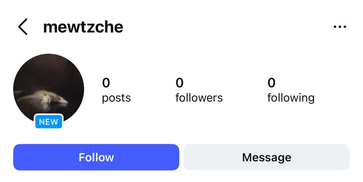 mewtzche tweet media