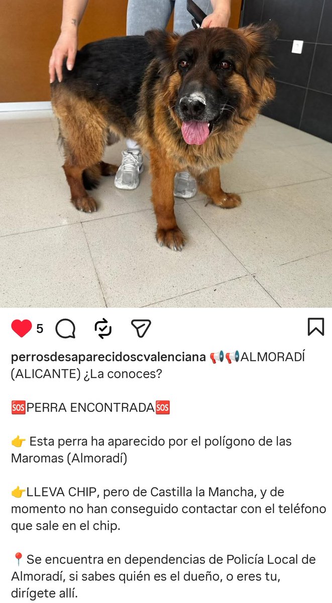 🐸 PePiTA GrILLa🐸 tweet media