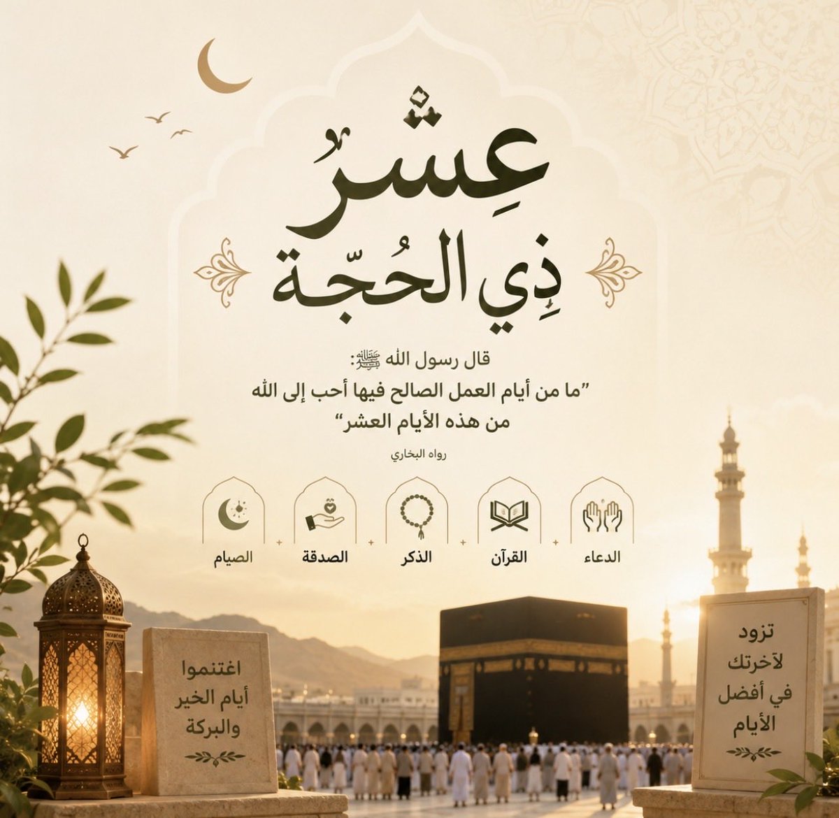 القايدي من زُبيد حرب tweet media