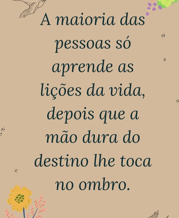 Manuel Carlos🇧🇷 tweet media