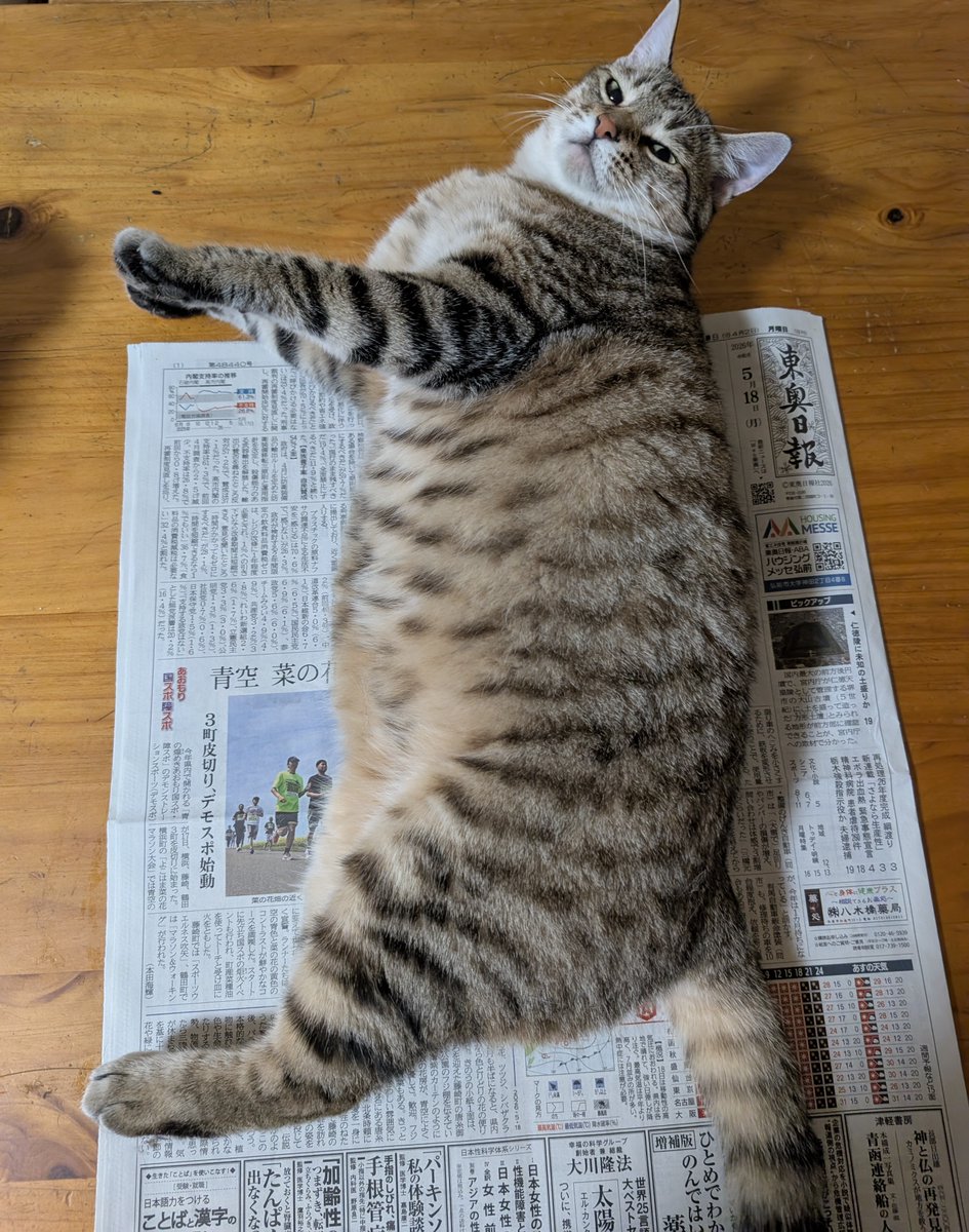 アヴェマナヴ tweet media