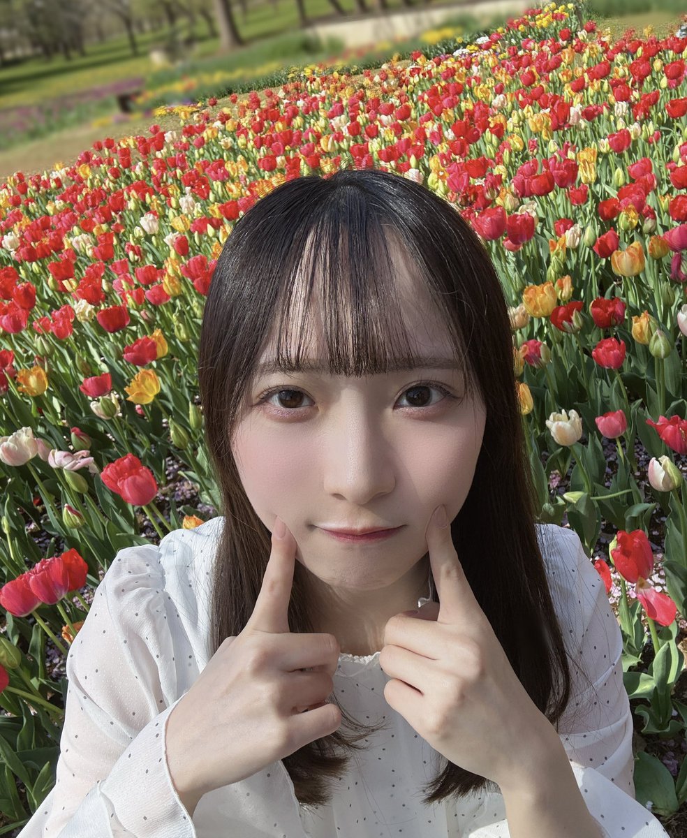 カタバミ (@bami004200) / Posts / X