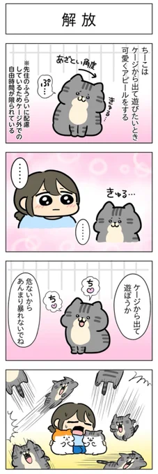 解放・タッチ│フェリシモ猫部 https://t.co/sLBOw0i20W 