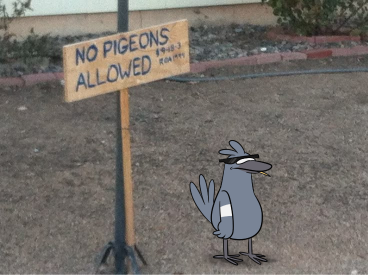 HatchThePigeon's tweet photo. I am ungovernable. https://t.co/jeIZabMZbL