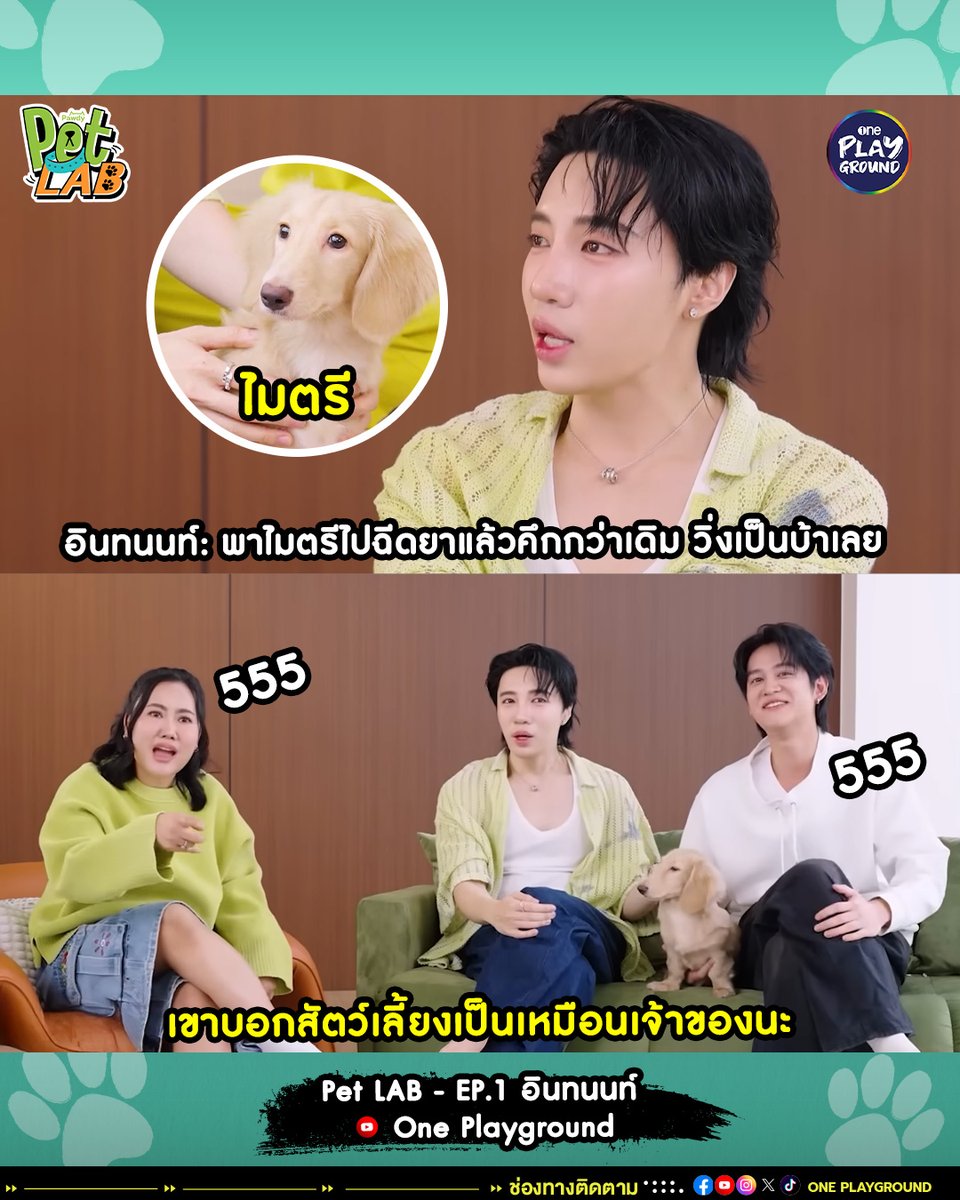 One31Playground's tweet photo. ต้องมีอะไร��ิดพลาดตรงไหนแน่ๆ ฮ่าๆ
เต็มๆ ใน #PetLab 🐾
ทาง YouTube #OnePlayground
คลิกเลย https://t.co/sRfiU8ITZu
#หมอไม้เอก และ #พี่ต้อง #อินทนนท์
#หมาแมว #สัตว์เลี้ยง
-----------------------------
ติดต่อโฆษณา
E-mail : salesonlineone31@onee.one
Tel. : 02 - 836 - 7138 https://t.co/vD1JCBt5JW
