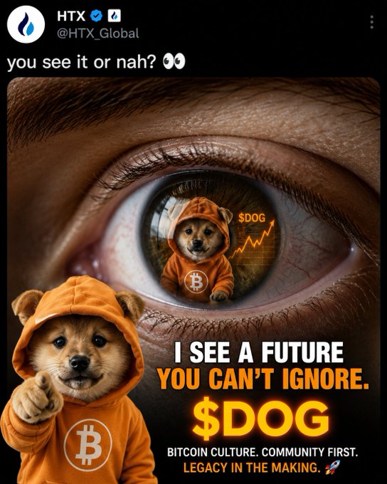 Dogtothemoonsr's tweet photo. oh we see it 👀 

Bitcoin culture. Orange energy. A community that never leaves. 

$DOG (Bitcoin)

#Crypto #DOG https://t.co/M3WV0C06cc