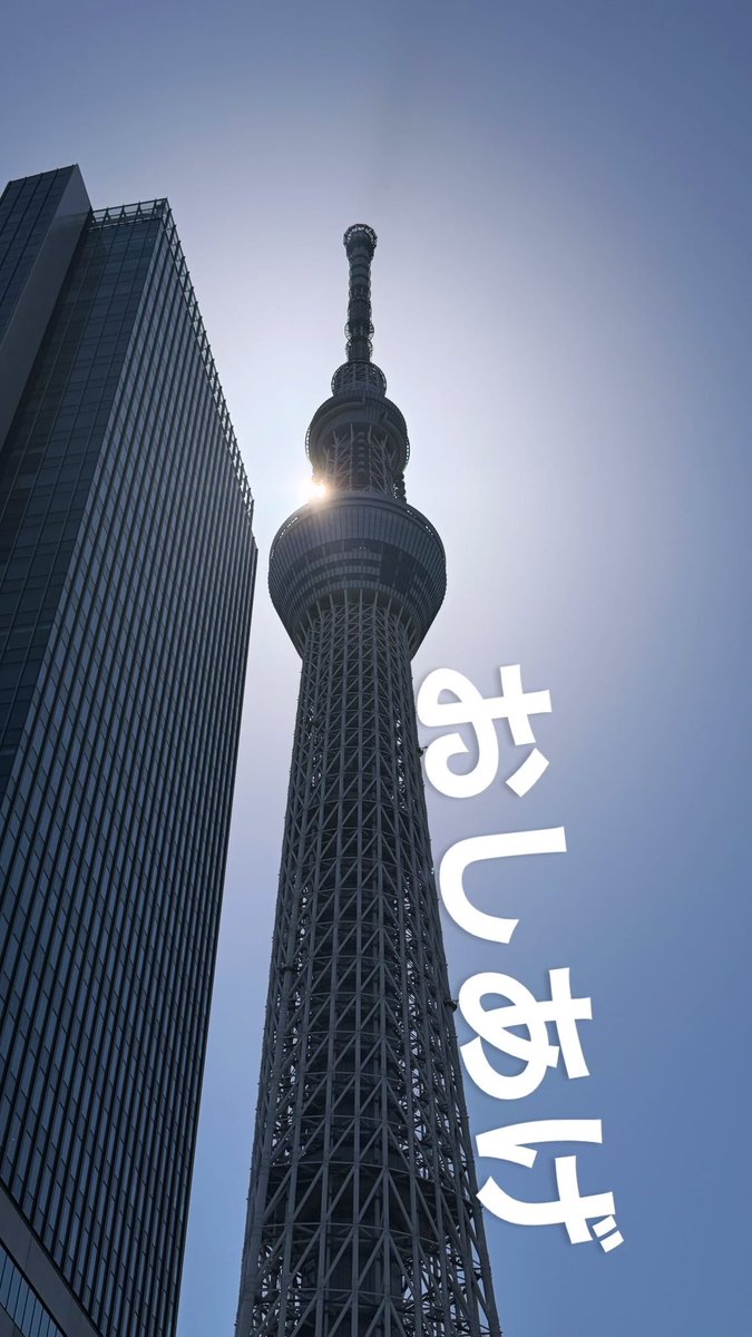 ノブ☆ディラン tweet media