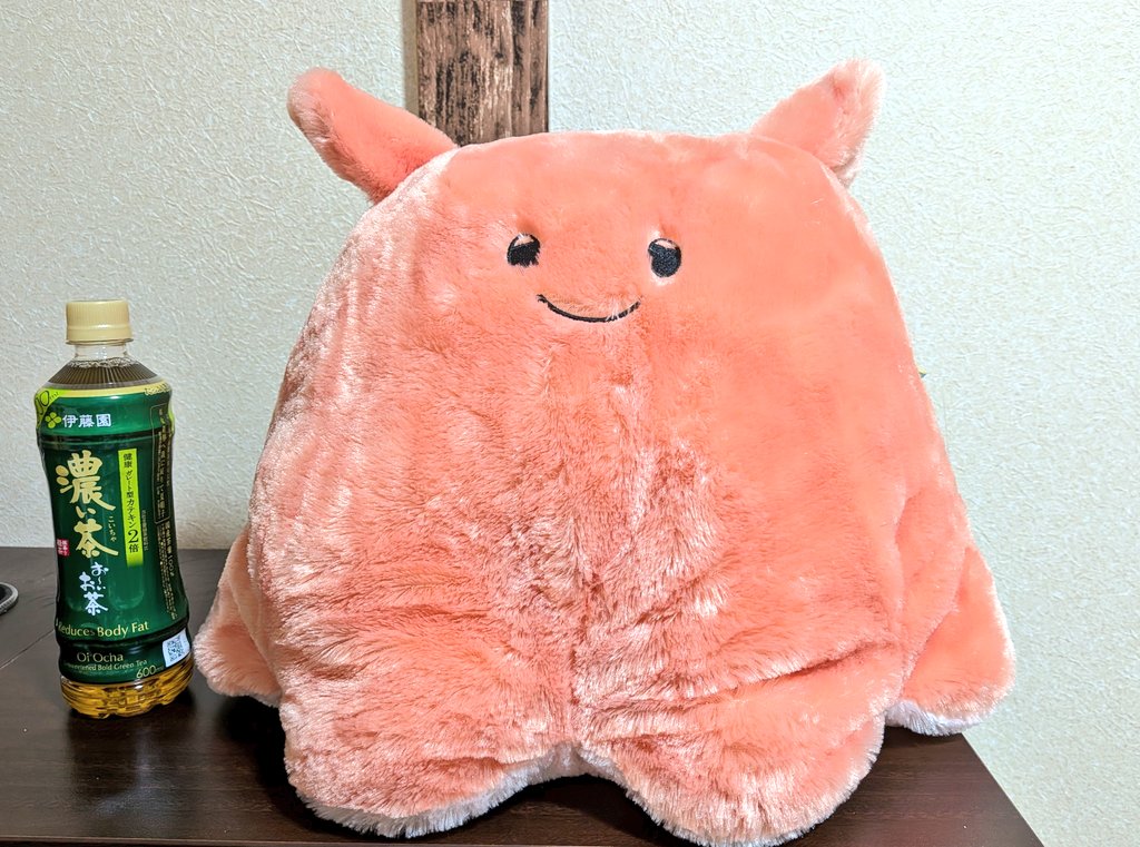 rostar_o's tweet photo. 昨日取ってきたドデカメンダコ
と比較用のペットボトル https://t.co/iChyGUf8t4