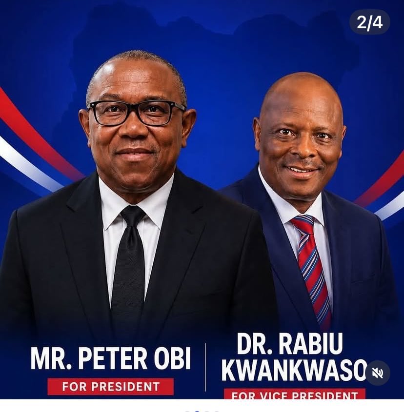 UzoImmaculate's tweet photo. Sentiments aside can NDC really win 2027 elections   #2027 #peterobi #chike https://t.co/HSgwdXRm4m