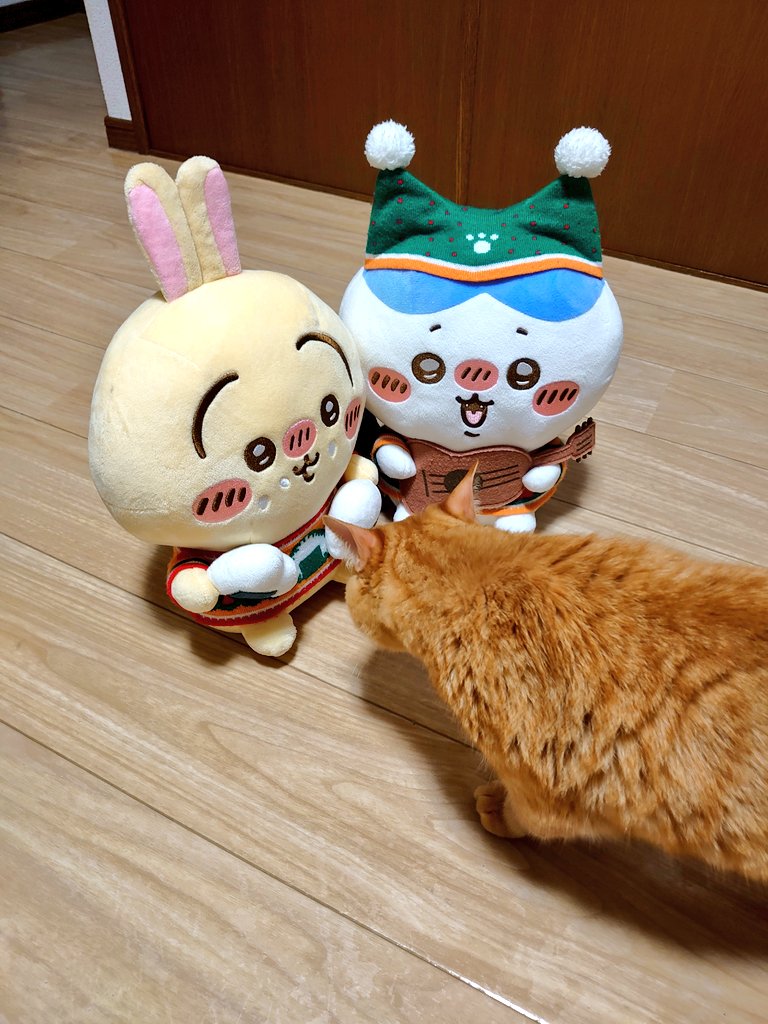 この星はちいかわに侵略されつつある。