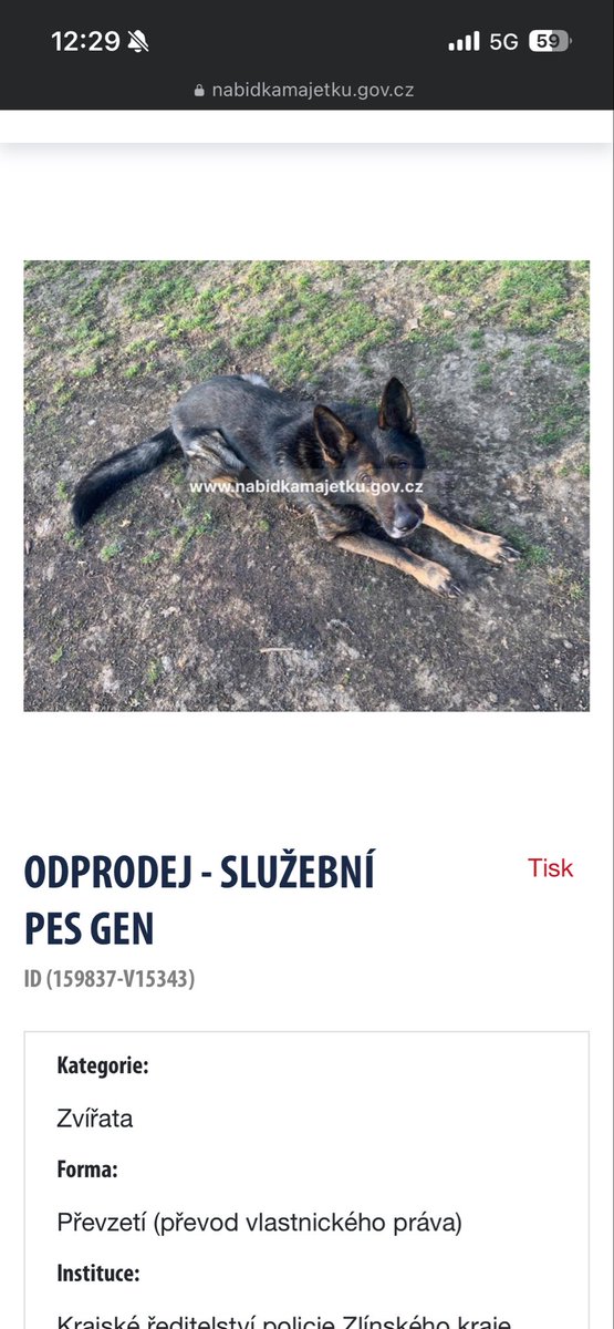 Elu Iluvatar tweet media