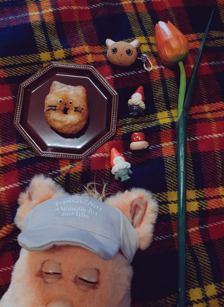 boiboi ( itoh ) (@ususkzititkrd) / Posts / X