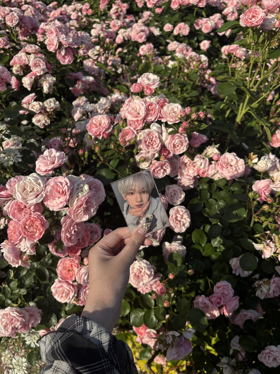 (っ﹏-) .。 tweet media