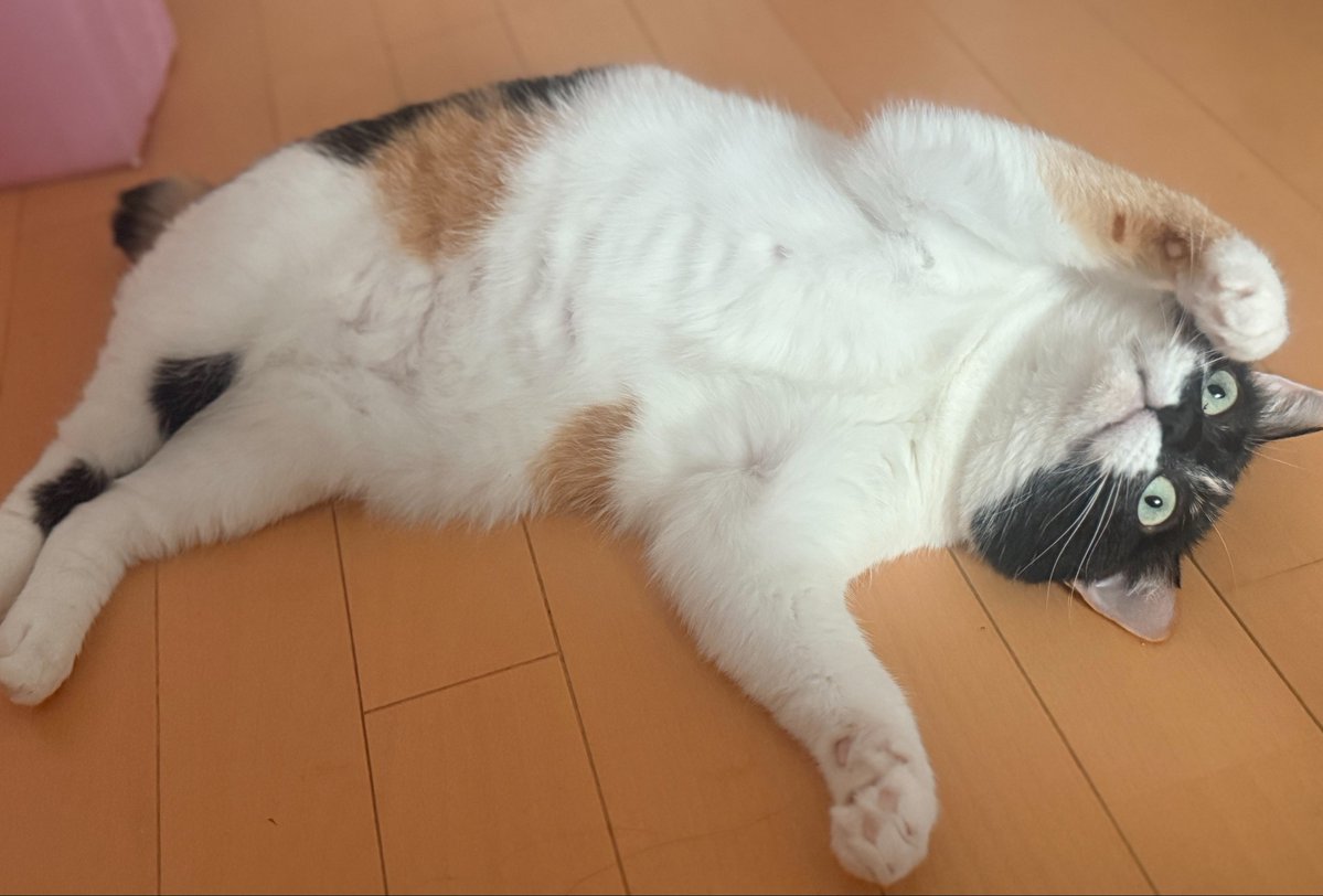 雷十太先生 (@asjSvnCZl18wKXM) / Posts / X
