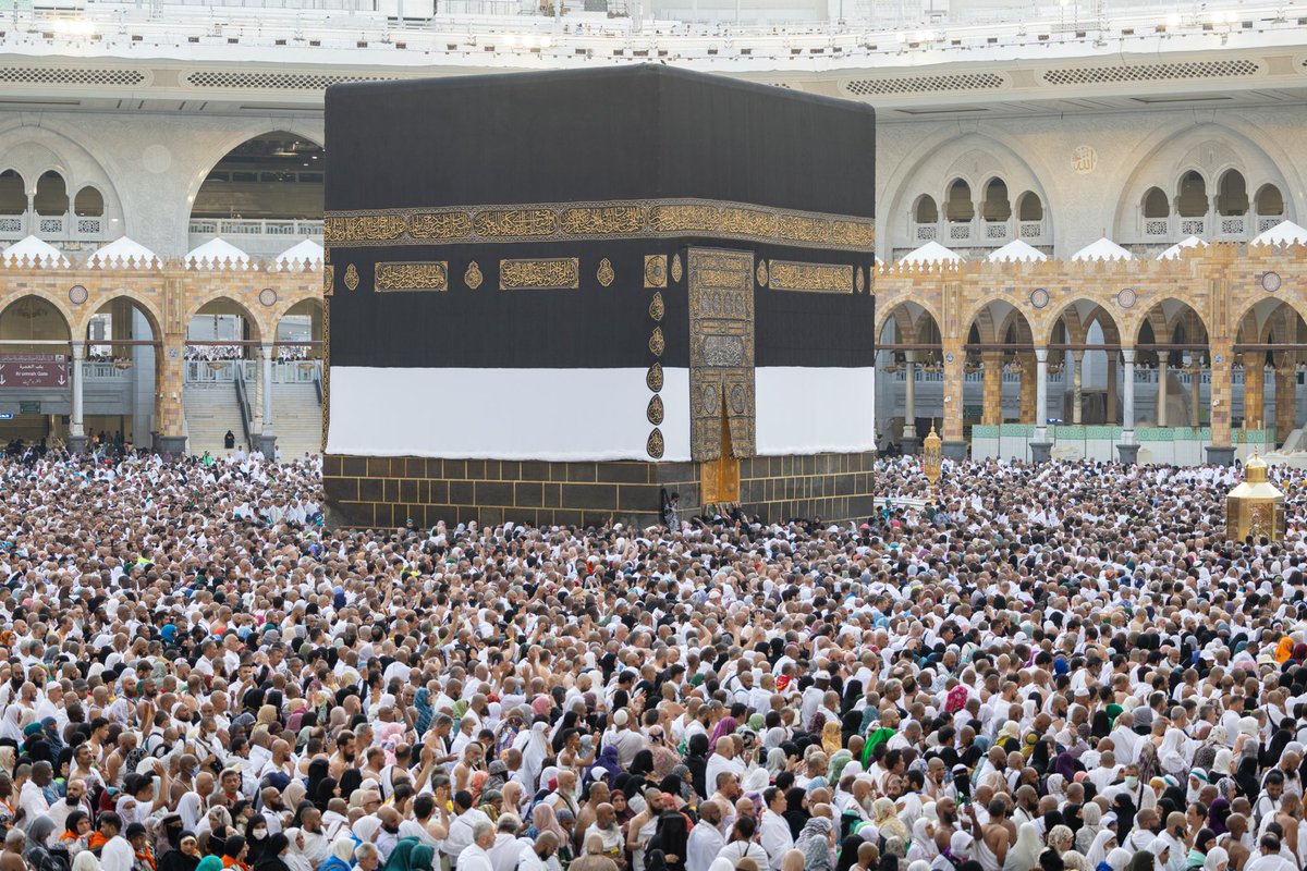 توفيق الربيعة tweet media