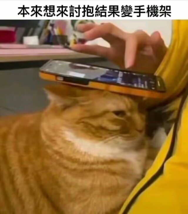 是早露泡泡兔呀 tweet media