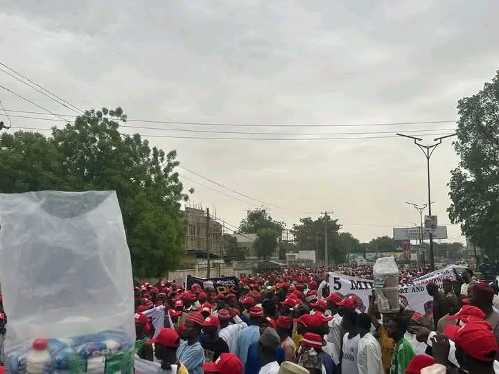 Kwankwasiyya Reporters tweet media