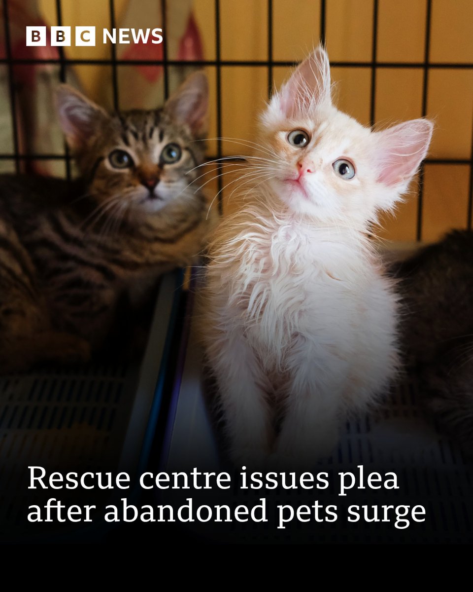 BBC Surrey tweet media