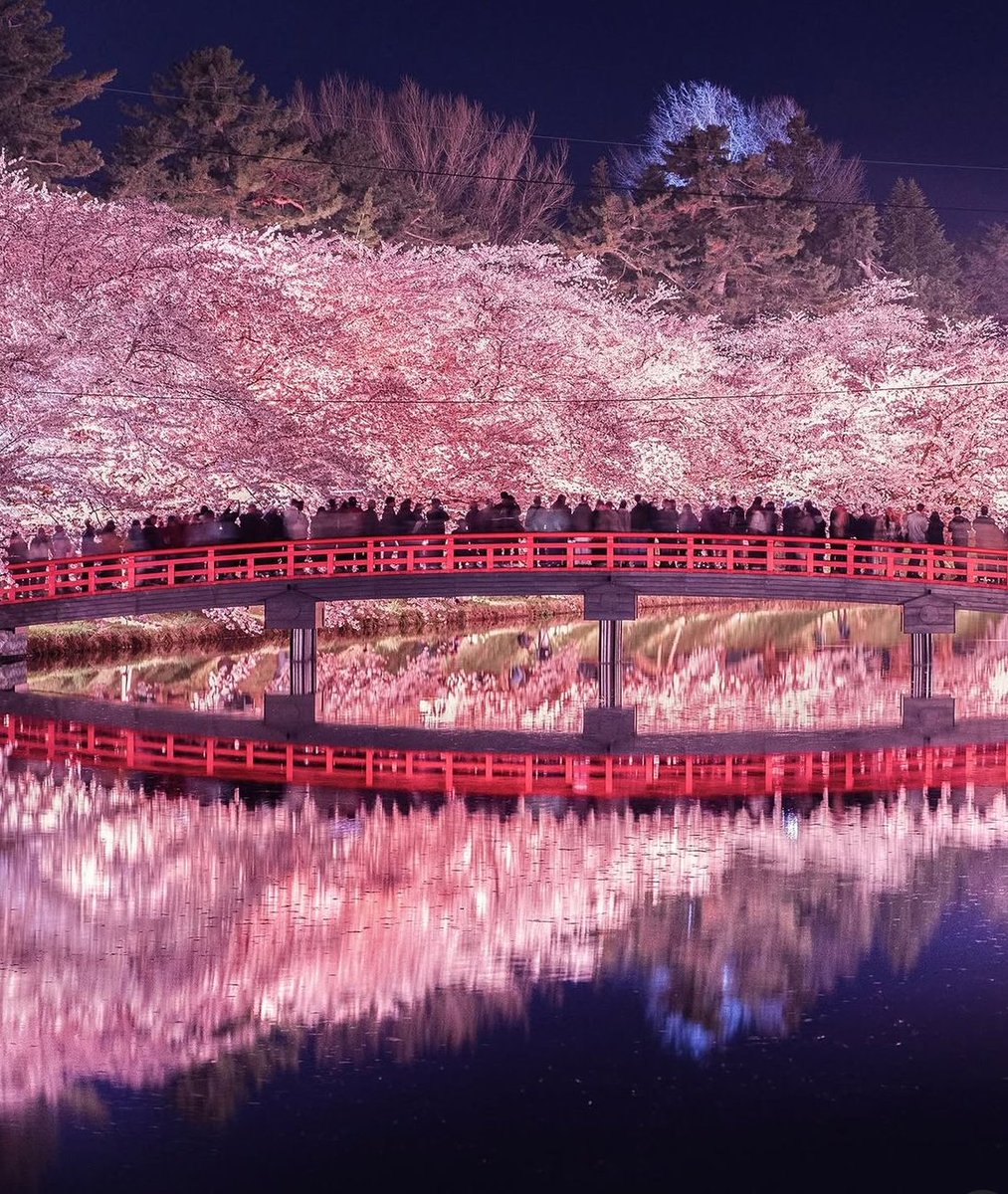世界の絶景 tweet media