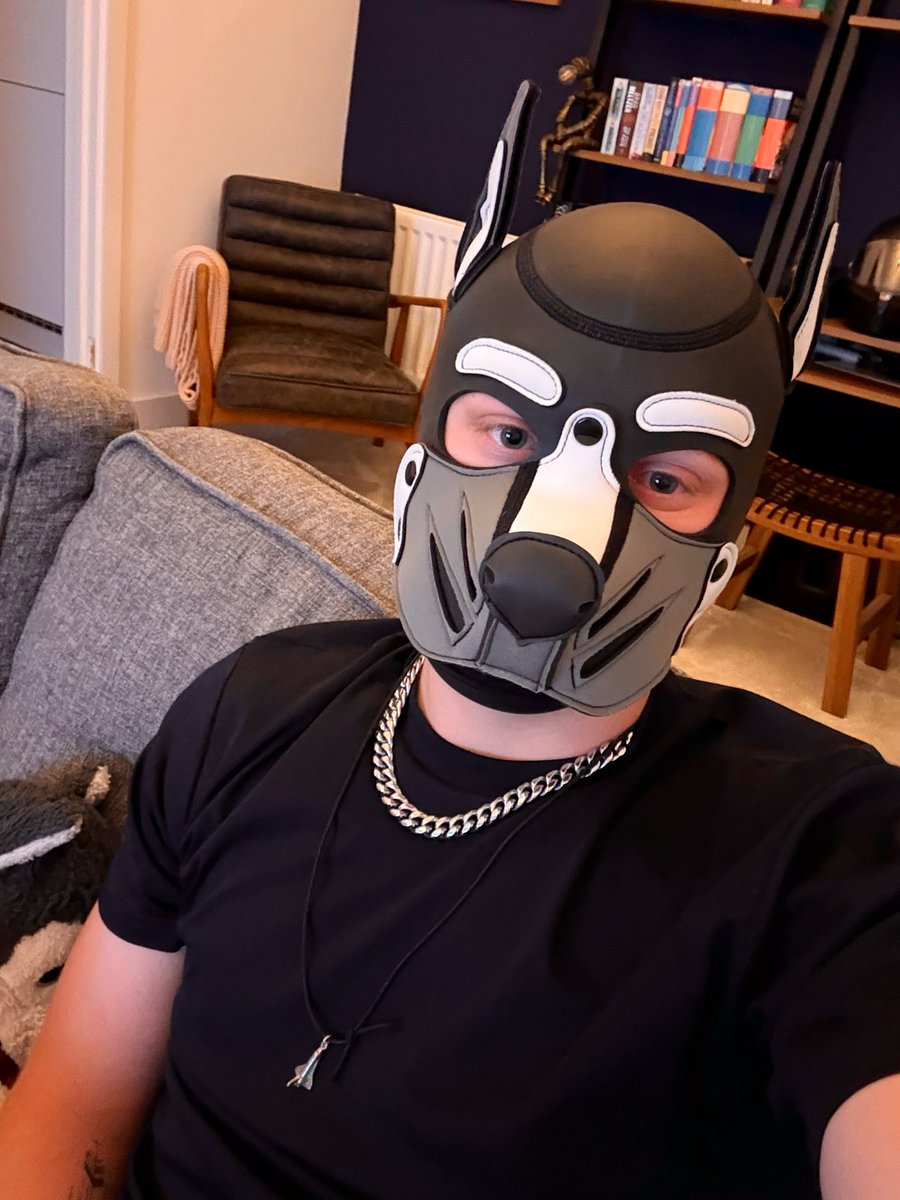 Pup_Comet tweet media