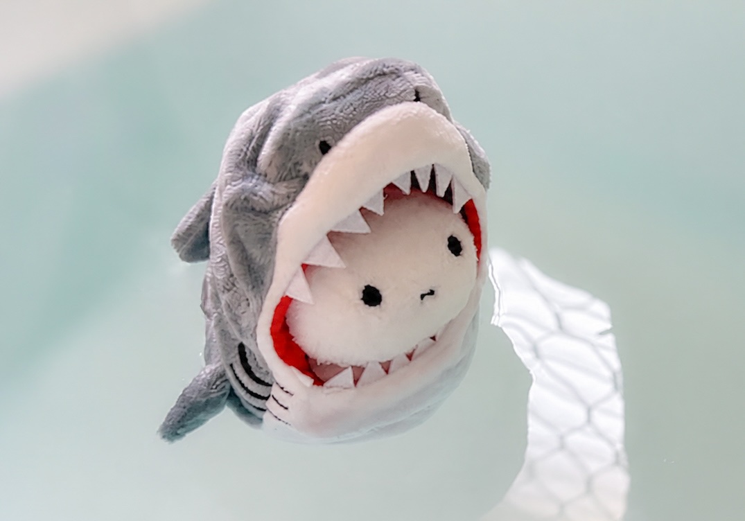 Unlucky 🦈 tweet media