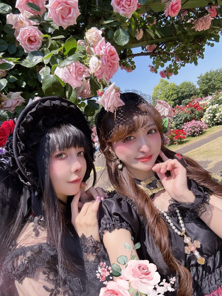 D 薔薇の名の下に集え 🌹🦋 薔薇園に誘われるロリィタ🎀