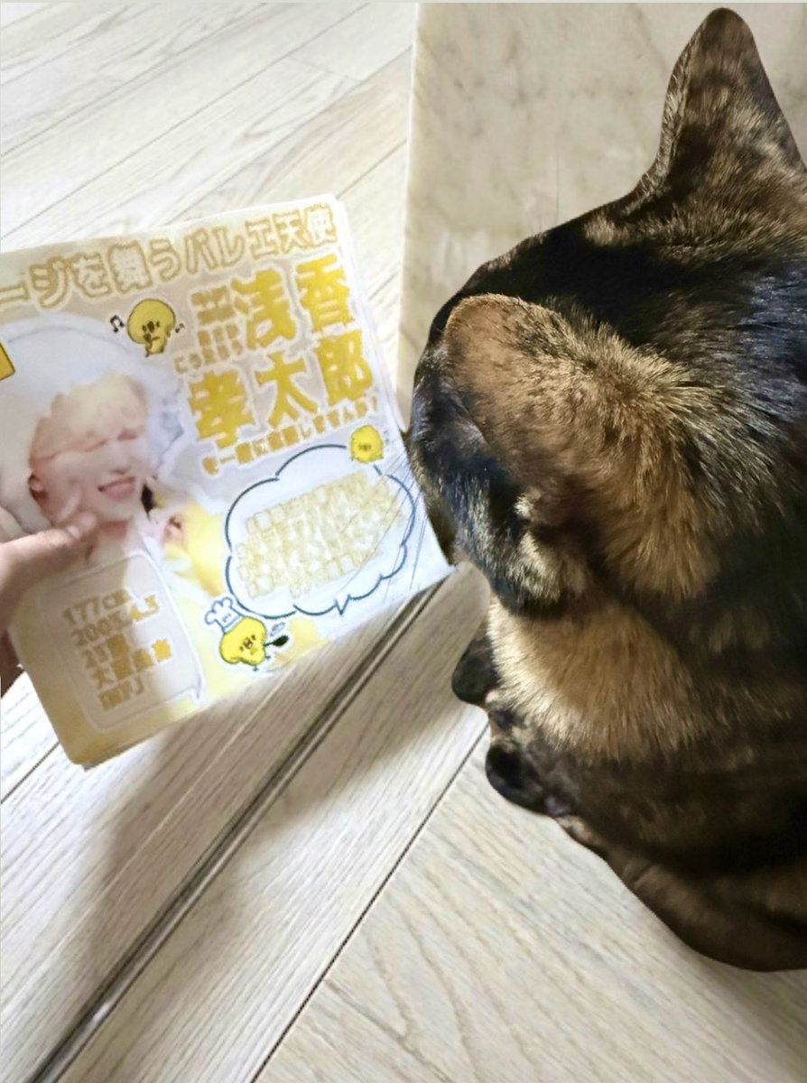 (ó㉨ò)ノ💛 tweet media