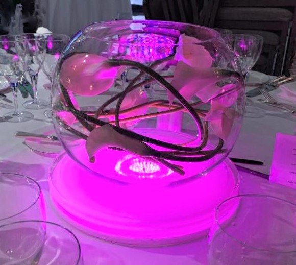 Designer Flowers UK tweet media