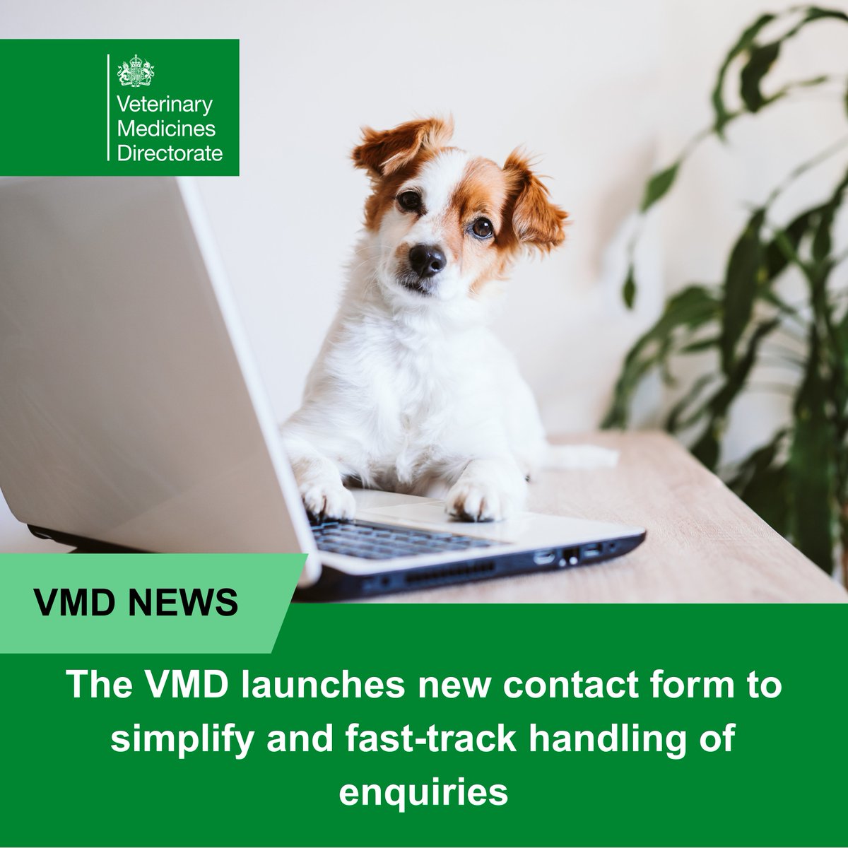 vmdgovuk's tweet photo. 📢We’re updating how to contact the Veterinary Medicines Directorate! 

💻Please use our new online form for general enquiries, complaints &amp; FOI requests.

⚡️This will help streamline &amp; speed up responses.

Submit your query here👇 https://t.co/hAZGQEtMPW https://t.co/UFSO9sq7AB