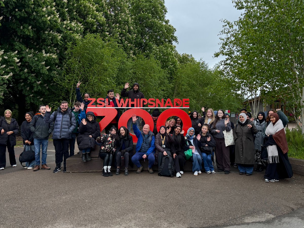 CTGtraining's tweet photo. On Friday, our Secondary trainee teachers spent the day at @ZSLWhipsnadeZoo taking part in Learning Outside the Classroom. 🐼🦍🐘🐒🦁🦘

Have a look to see some of our favourite moments >>>

@ChilternLT @MsMcGivern @unleashing_me https://t.co/nCxJU4ML0l