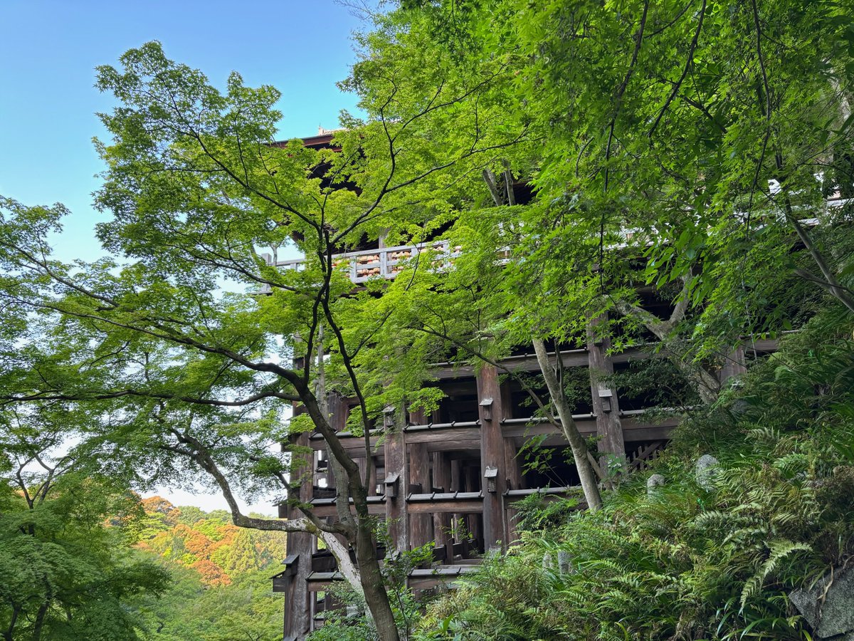 FTD55's tweet photo. 今日は残念ながら自動車株ガッカリでした、旅行終えて帰ります。写真は今日行った清水寺です https://t.co/m3Nwl9gOEW