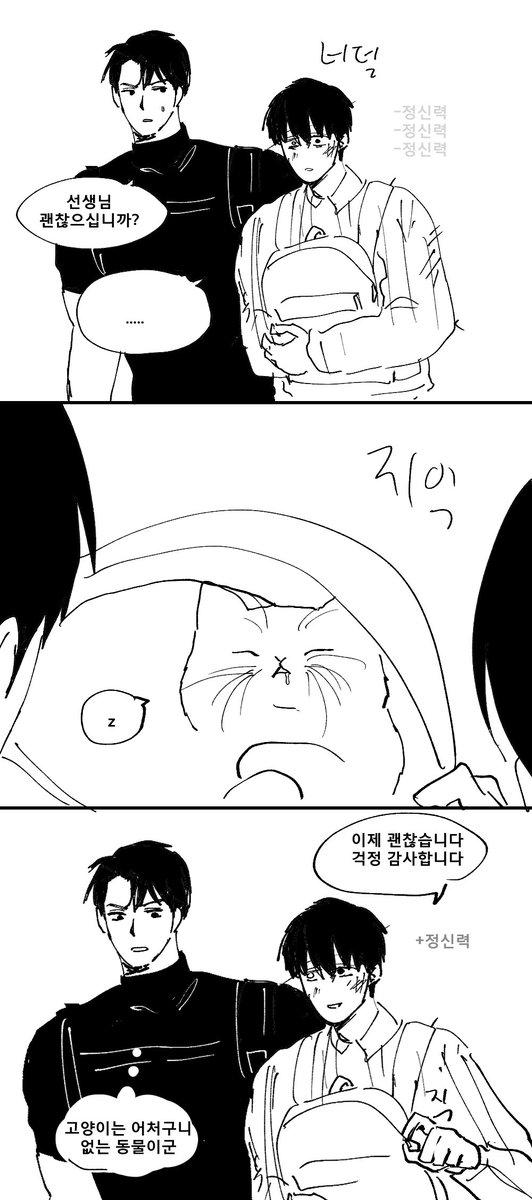 초코보🐤 tweet media
