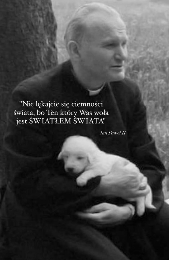 Sylwia tweet media
