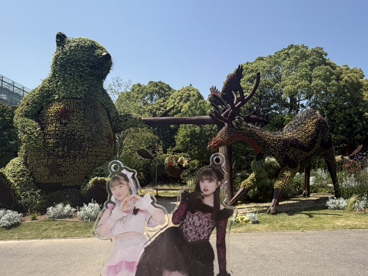 無口な魚。 tweet media