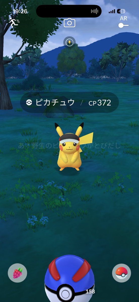 あやめ ☺︎ tweet media