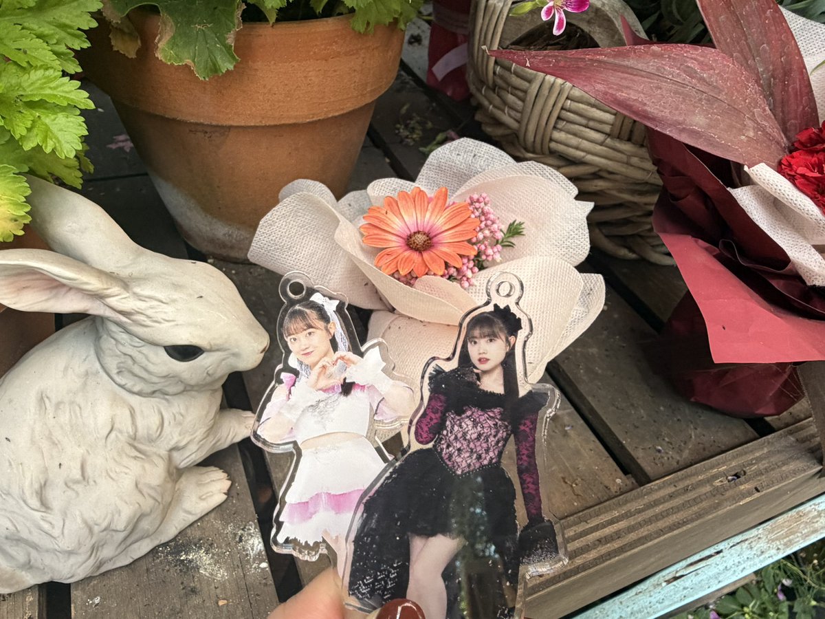無口な魚。 tweet media