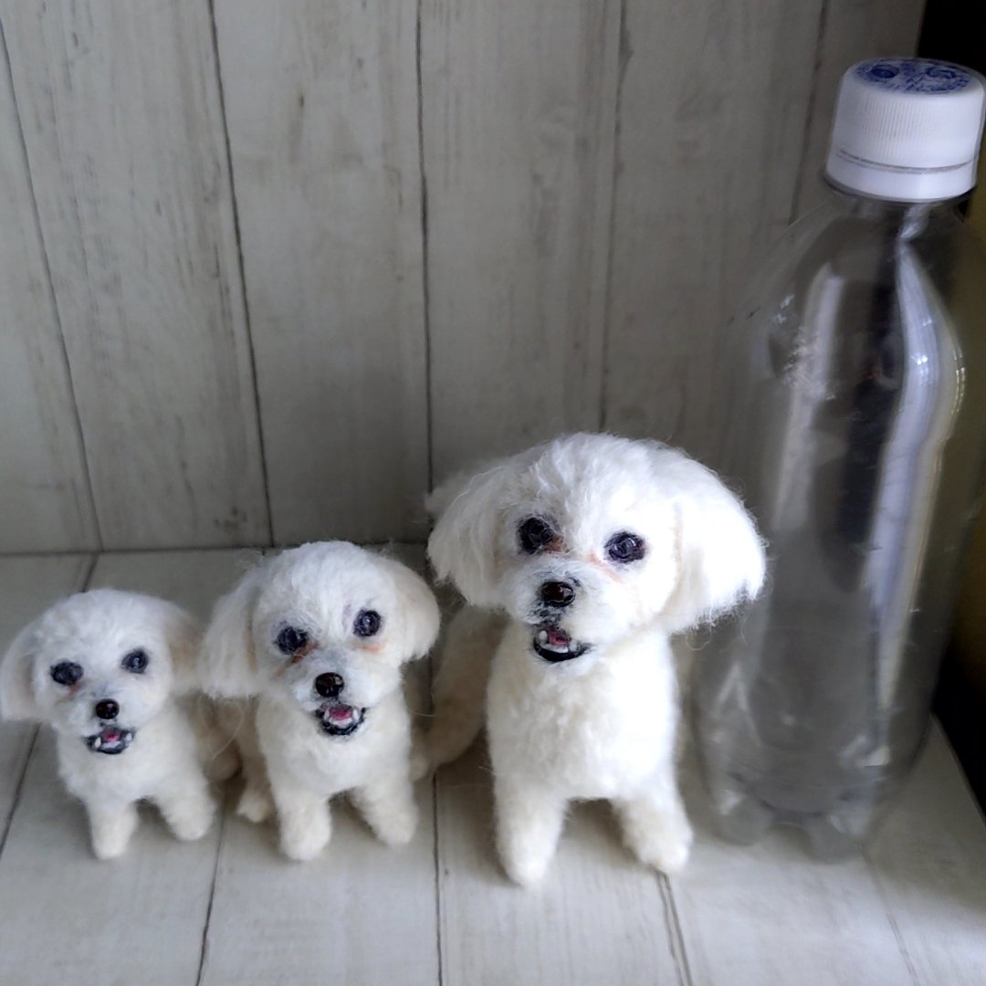 犬の羊毛フェルト、ショップRurumaru (@rurumaru18) / Posts / X
