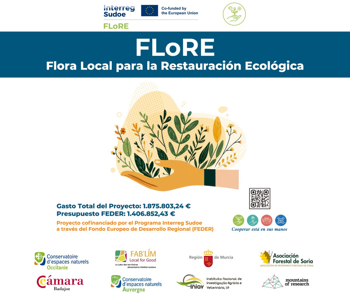EspNaturalesMur's tweet photo. 🌱 El proyecto #FLoRE sigue impulsando el uso de semillas silvestres locales para la restauración ecológica.

🌾 Profesionales del sector comparten experiencias, retos y oportunidades para avanzar hacia ecosistemas más resilientes y sostenibles.

#FloraLocal #InterregSudoe https://t.co/w2fJZjiz4I