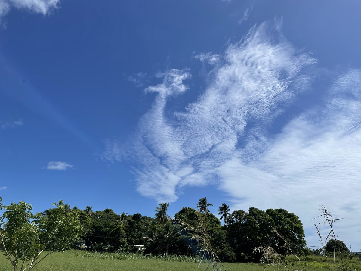Sachiko_3535's tweet photo. ニワトリのように見える空に遭遇したのは、フィジーの小さな市ナンディ🇫🇯
#フィジー #空 https://t.co/dUjSNFx1Sx