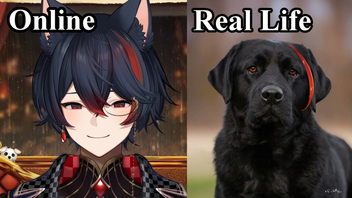 Lucius Merryweather 🖊️🐶 ASTRALINE tweet media