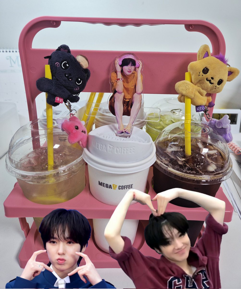 날아라리쿠🐿 tweet media