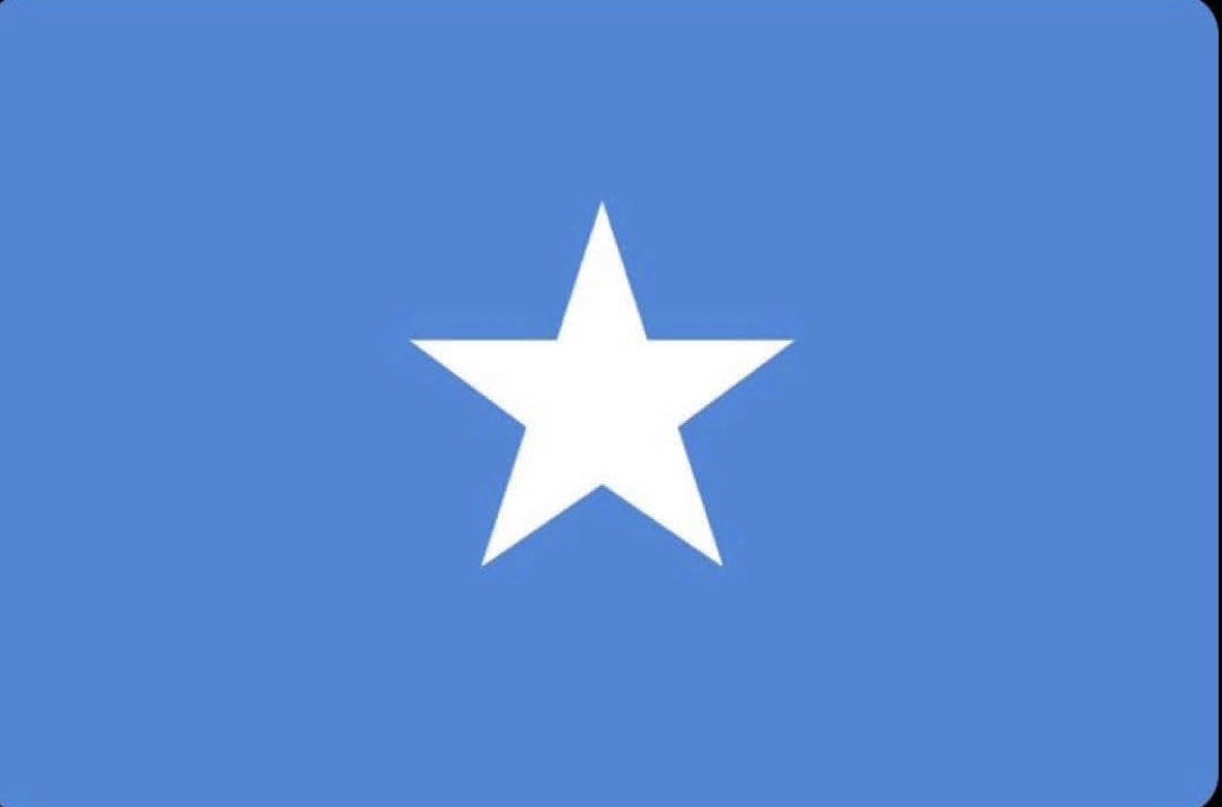 DW tweet media