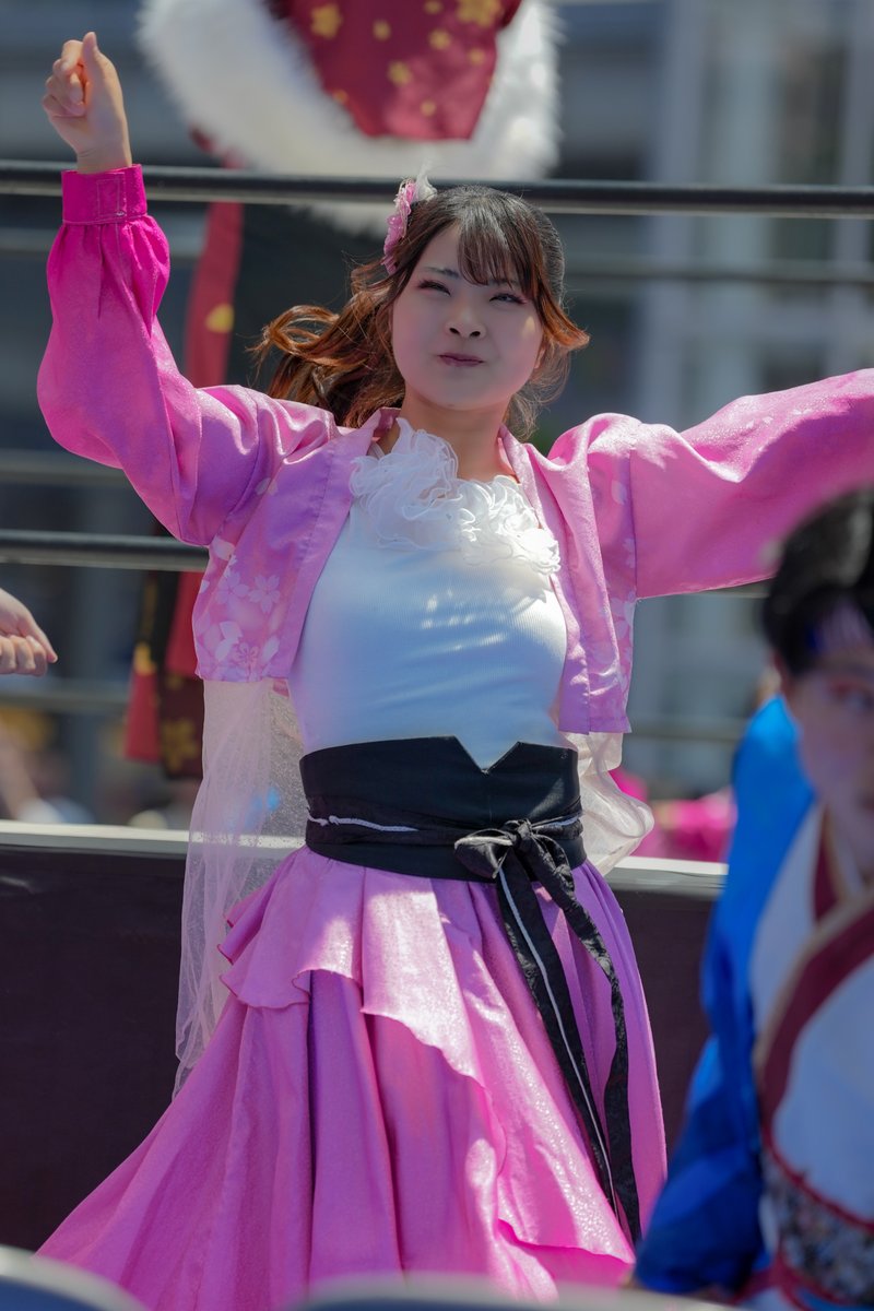 とーる（To-Ru）@どまつり・よさこいあるとこ"たまに"現れる tweet media
